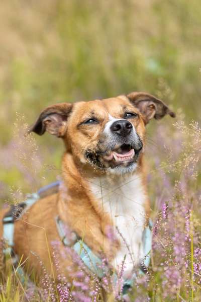 "Wege zur Freundschaft" (Ulli Reichmann)-Beitrag-Bild