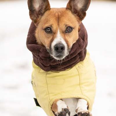 "Wege zur Freundschaft" (Ulli Reichmann)-Beitrag-Bild