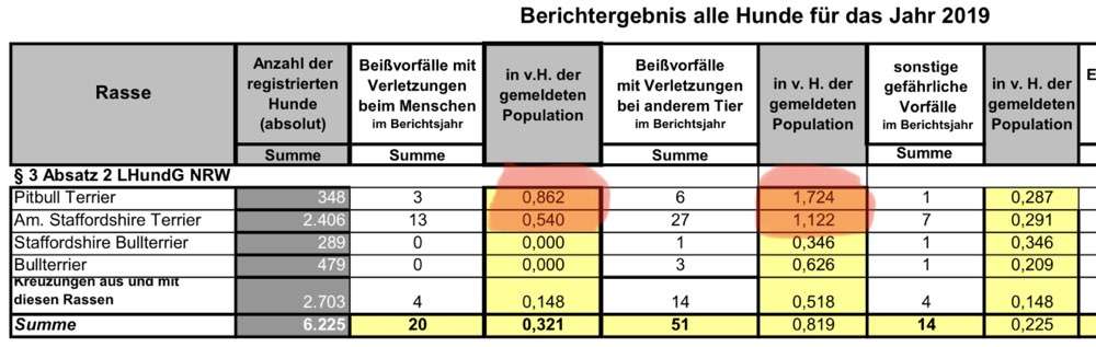 Freunde von 'Kampfhunden'-Beitrag-Bild