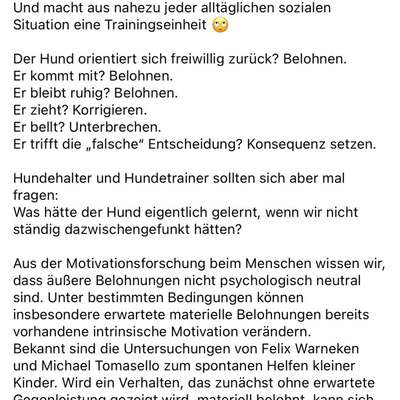 "Wege zur Freundschaft" (Ulli Reichmann)-Beitrag-Bild