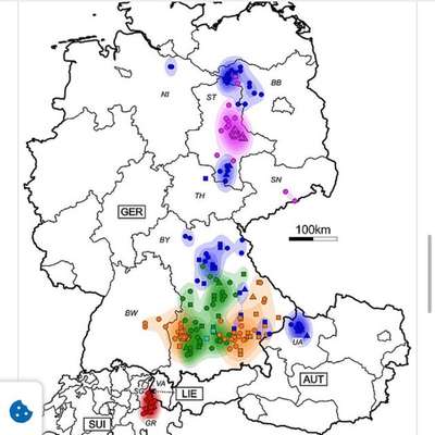 Kontakt mit Spitzmaus-Beitrag-Bild