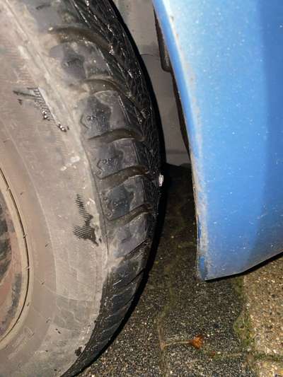 TierschutzhundeStammtisch🐕-Beitrag-Bild