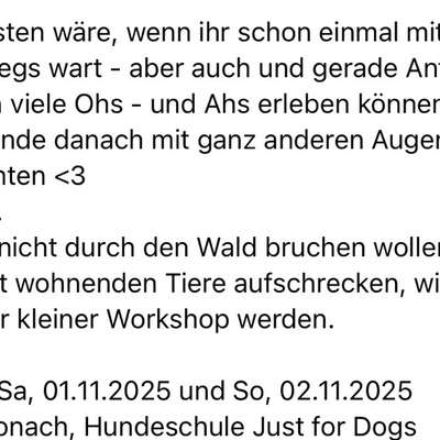 "Wege zur Freundschaft" (Ulli Reichmann)-Beitrag-Bild