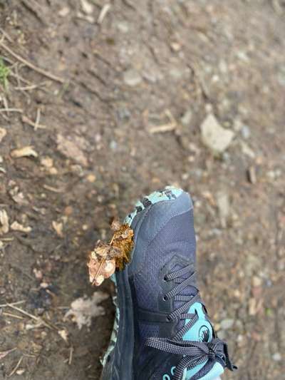 TierschutzhundeStammtisch🐕-Beitrag-Bild