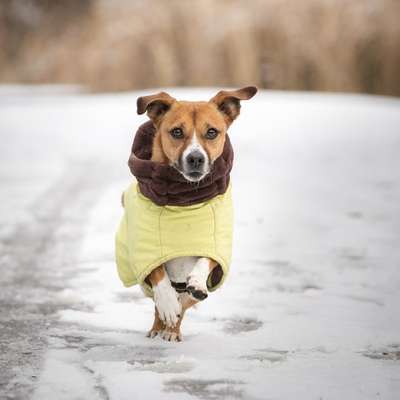 Austausch zur Fotografie-Beitrag-Bild