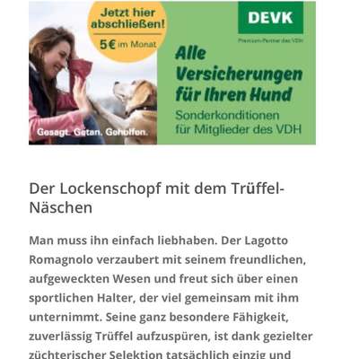 Eigenschaften Rasse gegen Mischling-Beitrag-Bild