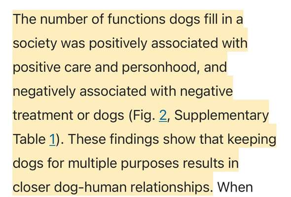 Warum immer Abends???-Beitrag-Bild