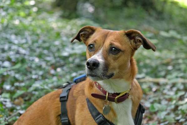 Austausch zur Fotografie-Beitrag-Bild