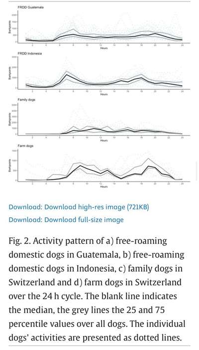 Warum immer Abends???-Beitrag-Bild