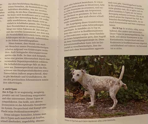 TierschutzhundeStammtisch🐕-Beitrag-Bild