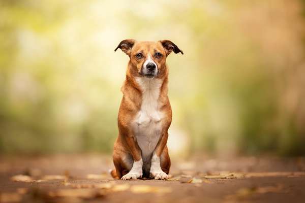 "Wege zur Freundschaft" (Ulli Reichmann)-Beitrag-Bild