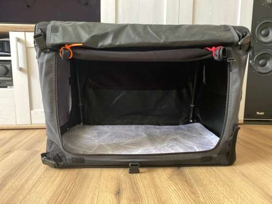 TierschutzhundeStammtisch🐕-Beitrag-Bild