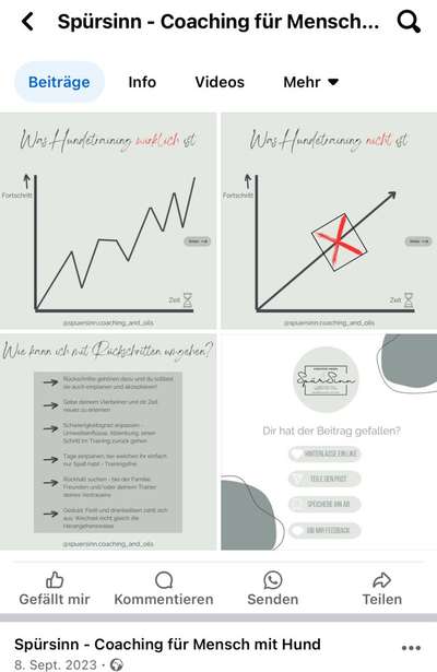 TierschutzhundeStammtisch🐕-Beitrag-Bild