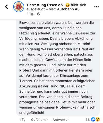 Brachycephale Hunderassen-Beitrag-Bild