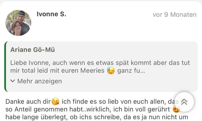 TierschutzhundeStammtisch🐕-Beitrag-Bild