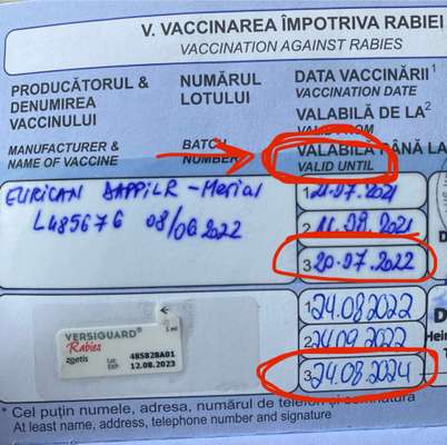 TierschutzhundeStammtisch🐕-Beitrag-Bild