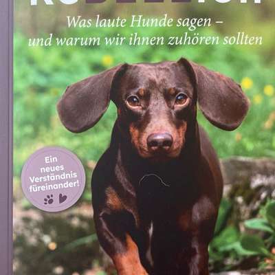 "Wege zur Freundschaft" (Ulli Reichmann)-Beitrag-Bild