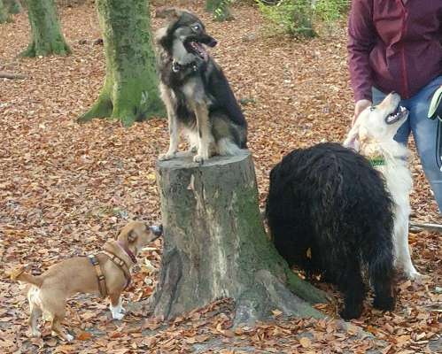 Groß oder Klein?-Beitrag-Bild