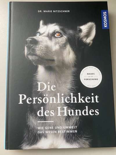 TierschutzhundeStammtisch🐕-Beitrag-Bild