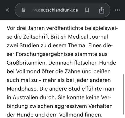 TierschutzhundeStammtisch🐕-Beitrag-Bild