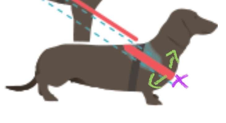 TierschutzhundeStammtisch🐕-Beitrag-Bild