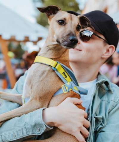 TierschutzhundeStammtisch🐕-Beitrag-Bild