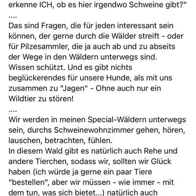 "Wege zur Freundschaft" (Ulli Reichmann)-Beitrag-Bild