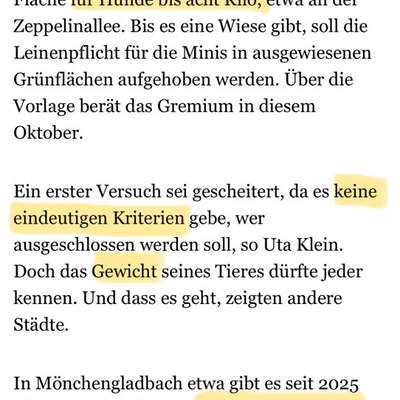 Auslauffläche nur für kleine Hunde?-Beitrag-Bild