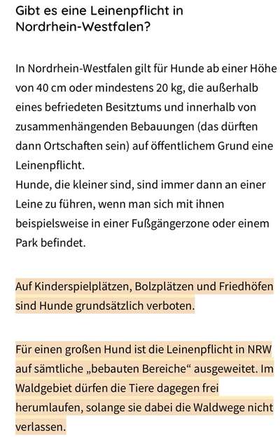 Hundeführerschein-Beitrag-Bild