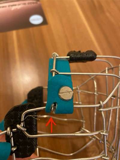 Wie sitzt mein Maulkorb / Maulkorb-Beratung-Beitrag-Bild