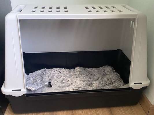 Allheilmittel Deckentraining-Beitrag-Bild