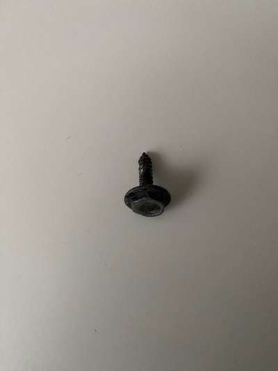 TierschutzhundeStammtisch🐕-Beitrag-Bild