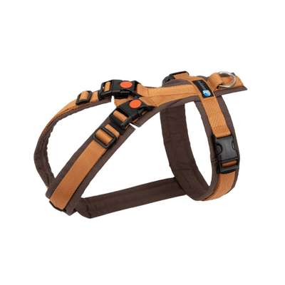 Panik vor Geschirr-Beitrag-Bild