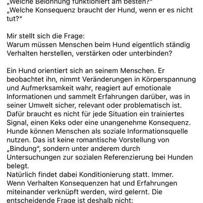 "Wege zur Freundschaft" (Ulli Reichmann)-Beitrag-Bild