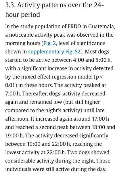 Warum immer Abends???-Beitrag-Bild