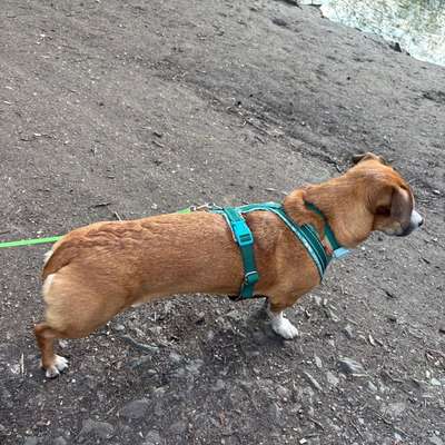 "Wege zur Freundschaft" (Ulli Reichmann)-Beitrag-Bild