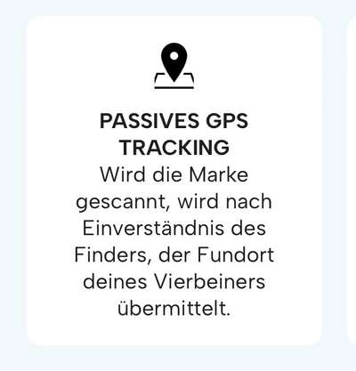 TierschutzhundeStammtisch🐕-Beitrag-Bild