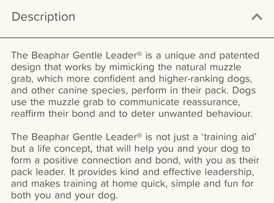 Hundehalfter-Beitrag-Bild