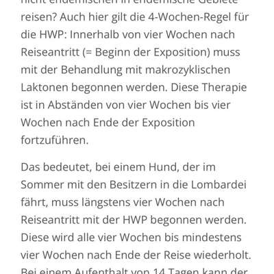 Milbemax zur Vorbeugung gegen Herzwürmer-Beitrag-Bild