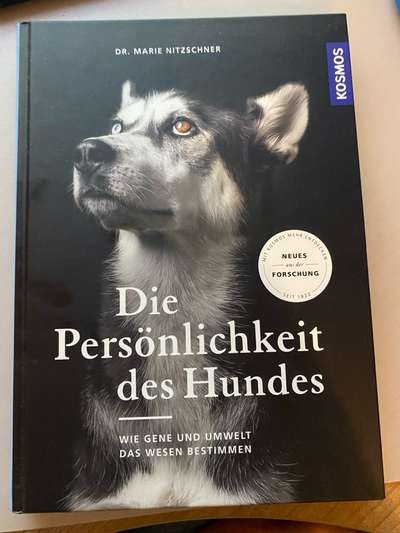 Häufigere Attacken auf unsichere Hunde-Beitrag-Bild