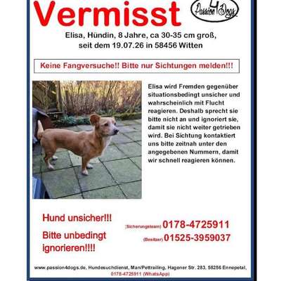 Suchmeldung-Elisa-Bild