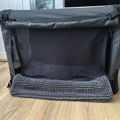 Hund im Körbchen anfassen-Beitrag-Bild