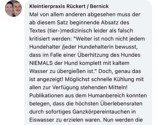 Brachycephale Hunderassen-Beitrag-Bild