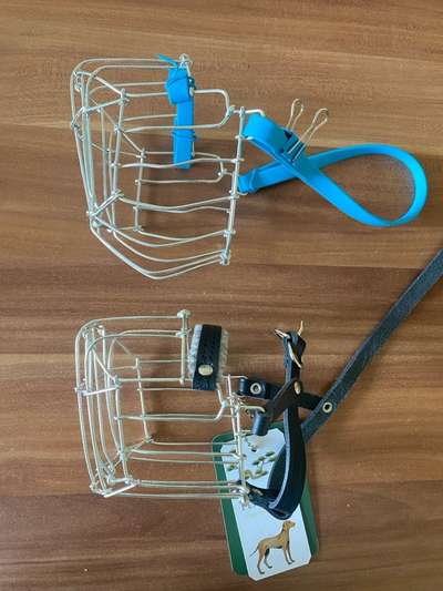 Wie sitzt mein Maulkorb / Maulkorb-Beratung-Beitrag-Bild