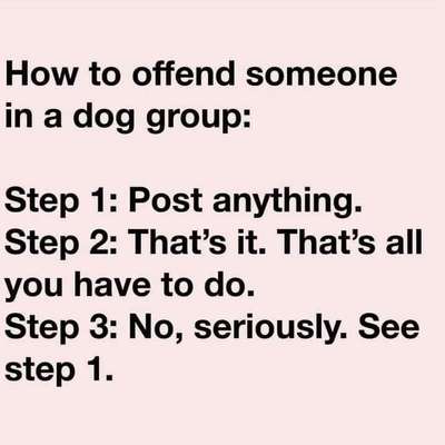 Hunde Memes-Beitrag-Bild
