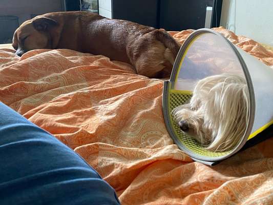 Ursache fürs Anspringen finden und beheben-Beitrag-Bild