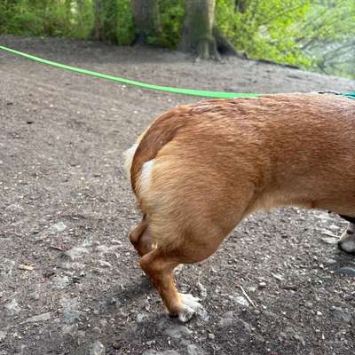 "Wege zur Freundschaft" (Ulli Reichmann)-Beitrag-Bild
