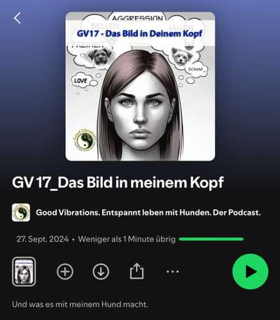 Unentspannter Hund-Beitrag-Bild