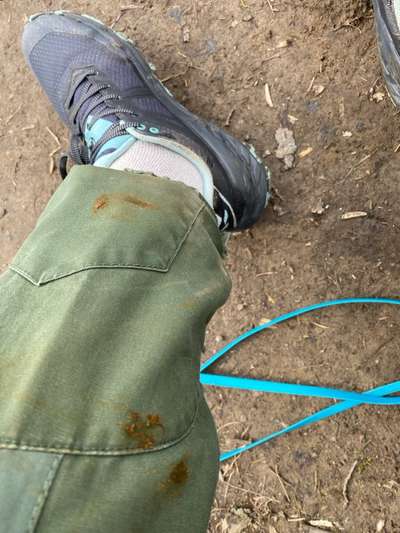 TierschutzhundeStammtisch🐕-Beitrag-Bild