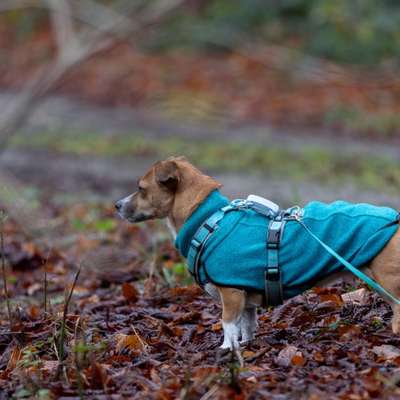 "Wege zur Freundschaft" (Ulli Reichmann)-Beitrag-Bild